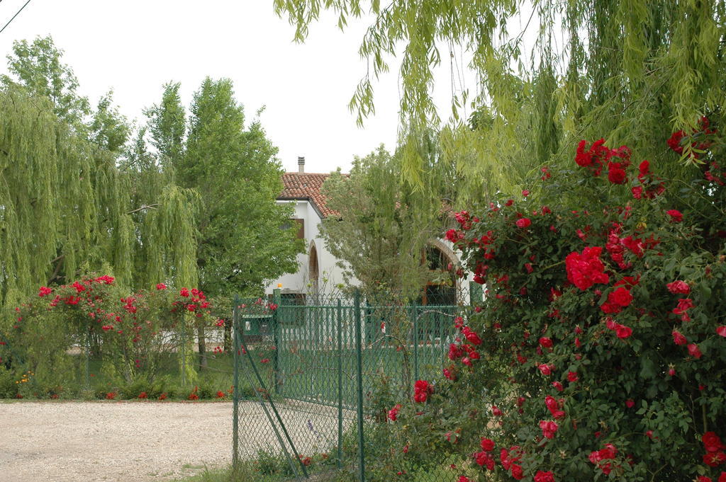 Bed and Breakfast Rose Rosse Cadi David Exterior foto